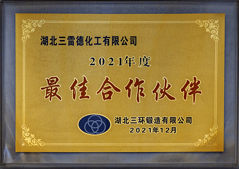 2021年度-最佳合作伙伴